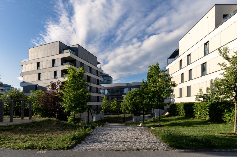 Waltrovka Masterplan — photo 2