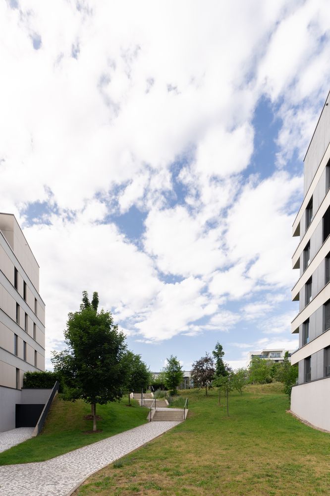 Waltrovka Masterplan — photo 6