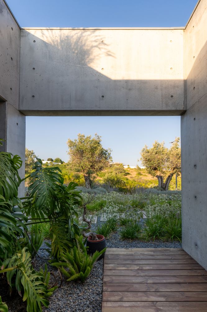 Casa Libre — photo 7